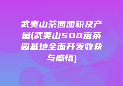 武夷山茶园面积及产量(武夷山500亩茶园基地全面开发收获与感悟)