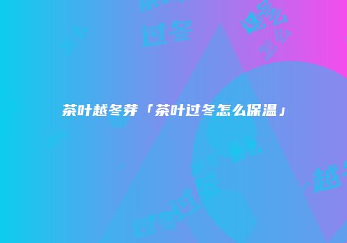 茶叶越冬芽「茶叶过冬怎么保温」