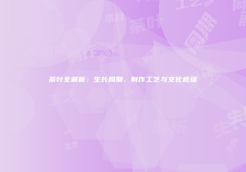 茶叶全解析：生长周期、制作工艺与文化底蕴