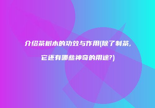 介绍茶树木的功效与作用(除了制茶,它还有哪些神奇的用途?)