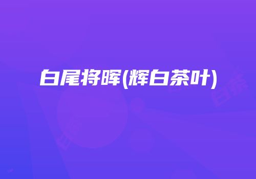 白尾将晖(辉白茶叶)