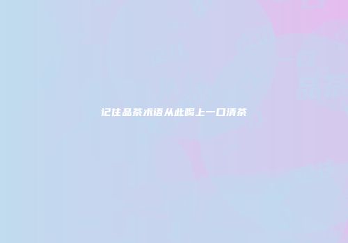 记住品茶术语从此喝上一口清茶