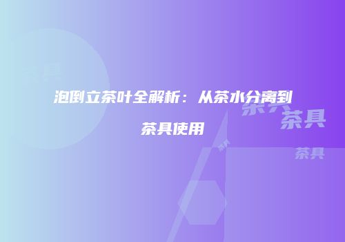 泡倒立茶叶全解析：从茶水分离到茶具使用