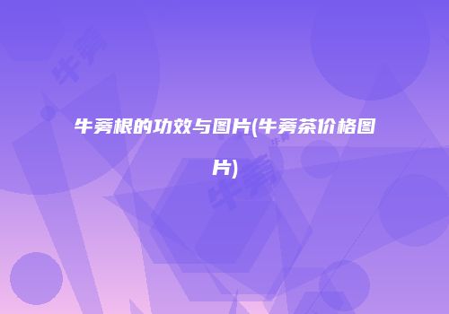 牛蒡根的功效与图片(牛蒡茶价格图片)