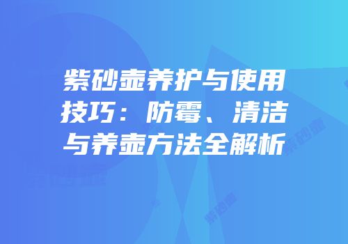 紫砂壶养护与使用技巧：防霉、清洁与养壶方法全解析