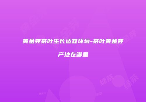黄金芽茶叶生长适宜环境-茶叶黄金芽产地在哪里