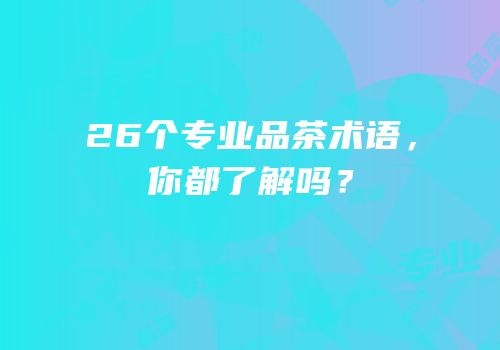 26个专业品茶术语，你都了解吗？