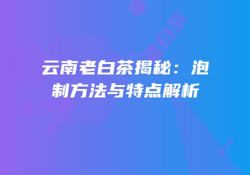 云南老白茶揭秘：泡制方法与特点解析