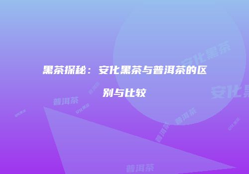 黑茶探秘：安化黑茶与普洱茶的区别与比较