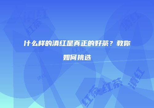 什么样的滇红是真正的好茶？教你如何挑选