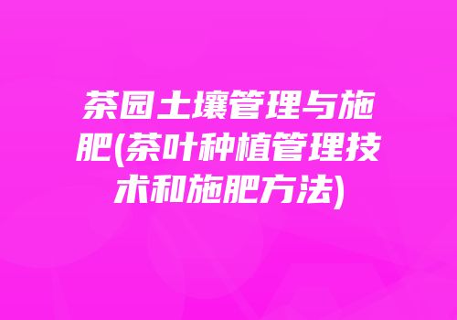 茶园土壤管理与施肥(茶叶种植管理技术和施肥方法)