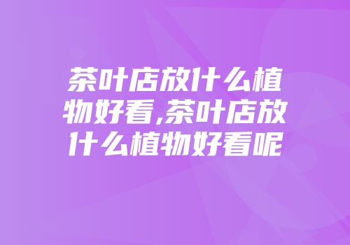 茶叶店放什么植物好看,茶叶店放什么植物好看呢