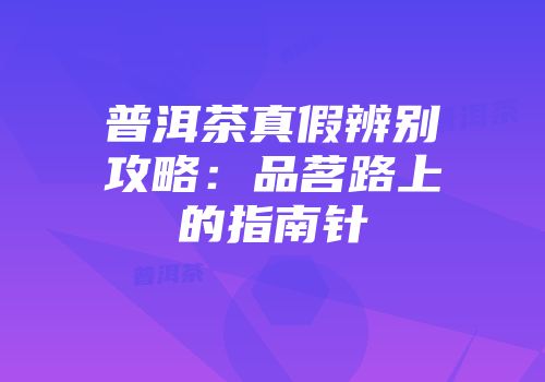 普洱茶真假辨别攻略：品茗路上的指南针