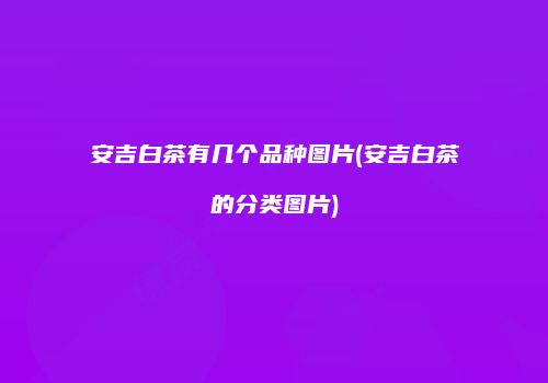 安吉白茶有几个品种图片(安吉白茶的分类图片)