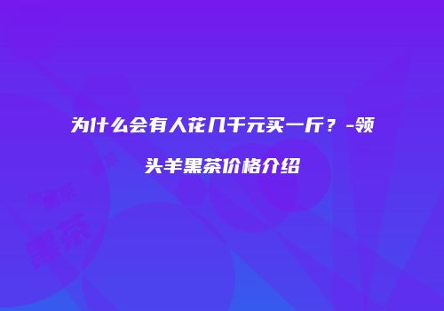 为什么会有人花几千元买一斤？-领头羊黑茶价格介绍