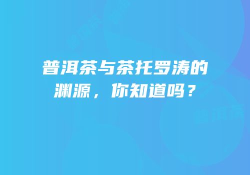普洱茶与茶托罗涛的渊源，你知道吗？