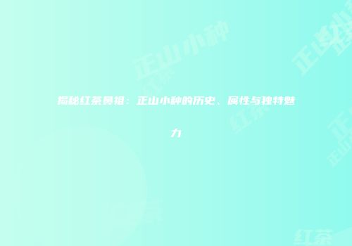 揭秘红茶鼻祖：正山小种的历史、属性与独特魅力