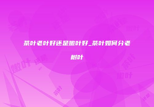 茶叶老叶好还是嫩叶好_茶叶如何分老树叶