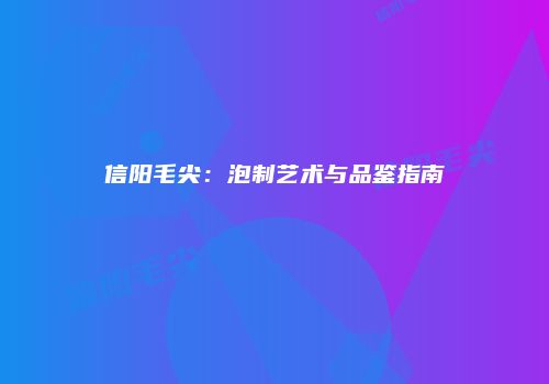 信阳毛尖：泡制艺术与品鉴指南