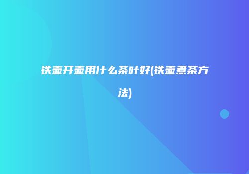 铁壶开壶用什么茶叶好(铁壶煮茶方法)