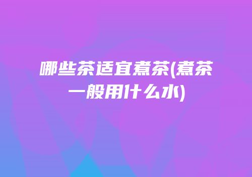 哪些茶适宜煮茶(煮茶一般用什么水)