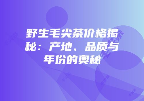 野生毛尖茶价格揭秘：产地、品质与年份的奥秘