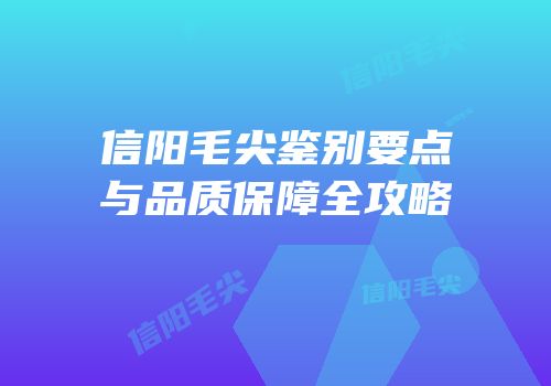 信阳毛尖鉴别要点与品质保障全攻略