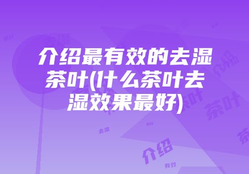 介绍最有效的去湿茶叶(什么茶叶去湿效果最好)