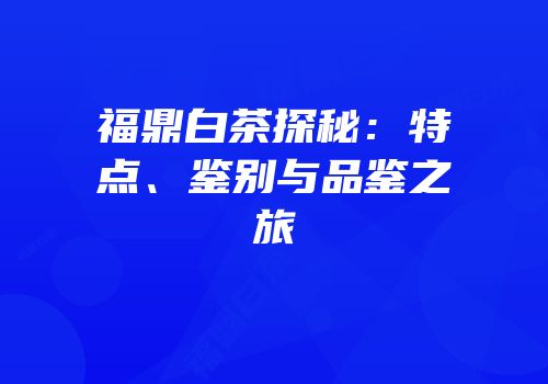 福鼎白茶探秘：特点、鉴别与品鉴之旅