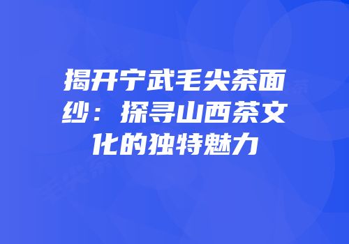 揭开宁武毛尖茶面纱：探寻山西茶文化的独特魅力