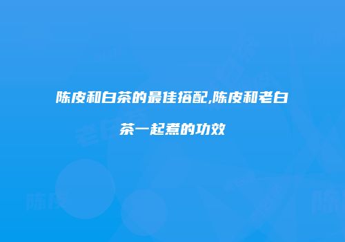 陈皮和白茶的最佳搭配,陈皮和老白茶一起煮的功效