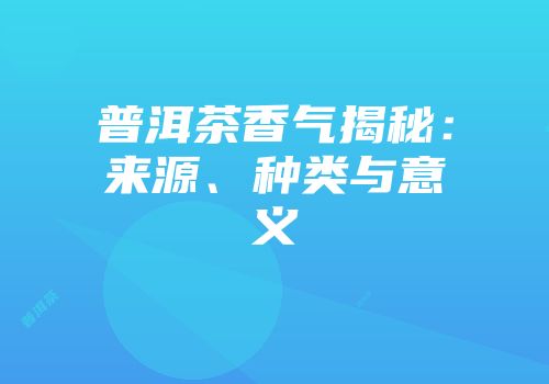 普洱茶香气揭秘：来源、种类与意义
