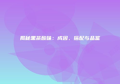 揭秘黑茶酸味：成因、搭配与品鉴