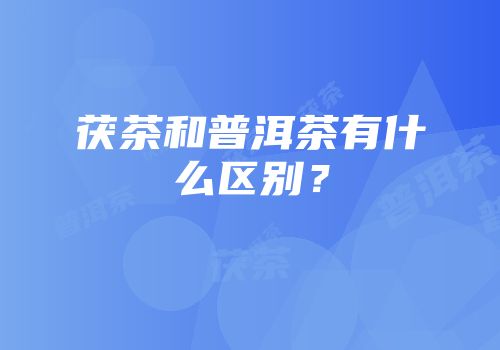 茯茶和普洱茶有什么区别？