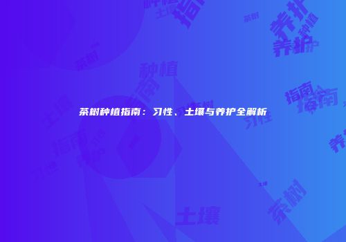 茶树种植指南：习性、土壤与养护全解析