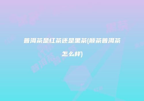 普洱茶是红茶还是黑茶(颠茶普洱茶怎么样)