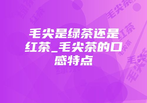 毛尖是绿茶还是红茶_毛尖茶的口感特点