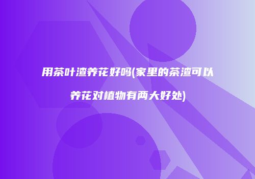 用茶叶渣养花好吗(家里的茶渣可以养花对植物有两大好处)