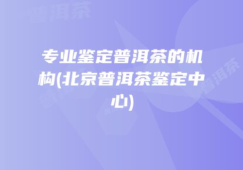 专业鉴定普洱茶的机构(北京普洱茶鉴定中心)