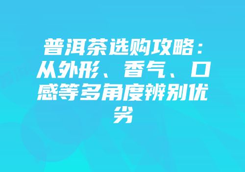 普洱茶选购攻略：从外形、香气、口感等多角度辨别优劣