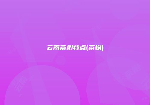 云南茶树特点(茶树)