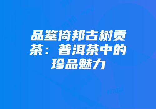 品鉴倚邦古树贡茶：普洱茶中的珍品魅力