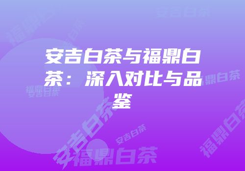 安吉白茶与福鼎白茶：深入对比与品鉴