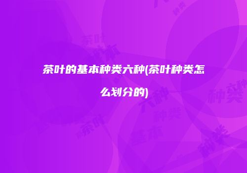 茶叶的基本种类六种(茶叶种类怎么划分的)