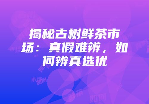 揭秘古树鲜茶市场：真假难辨，如何辨真选优