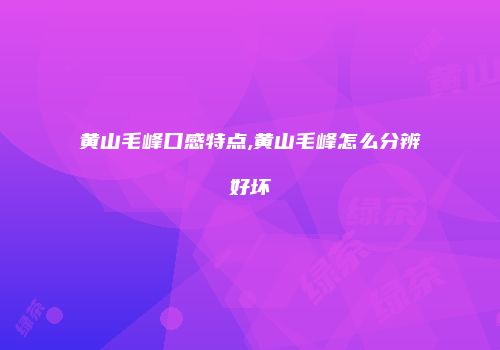 黄山毛峰口感特点,黄山毛峰怎么分辨好坏