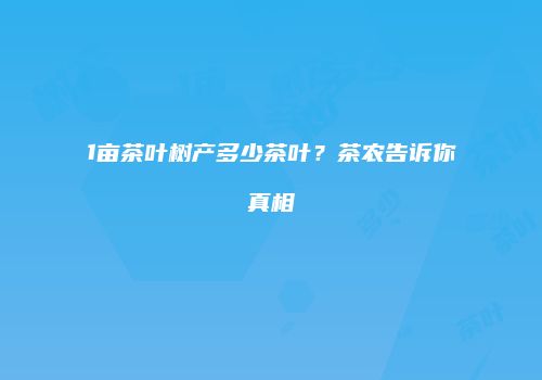 1亩茶叶树产多少茶叶？茶农告诉你真相