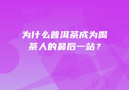 为什么普洱茶成为喝茶人的最后一站？