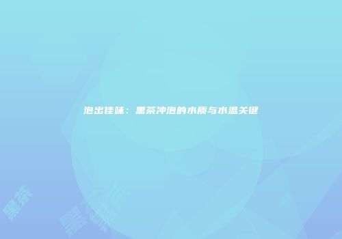 泡出佳味：黑茶冲泡的水质与水温关键