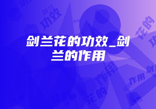 剑兰花的功效_剑兰的作用